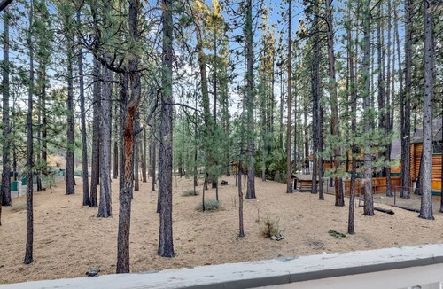 Summit Estates Ski Chalet | Evergreen Estate- Relaxing Family Resort Chalet