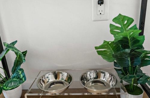 Shawmut Apartment | Family Suite in Boston with Pool Gym & Balcony - Perfect Stay