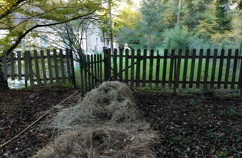 Saint-Jean-aux-Bois House | Forest Nest Cottage in the Heart of Compiègne, Sleeps 15