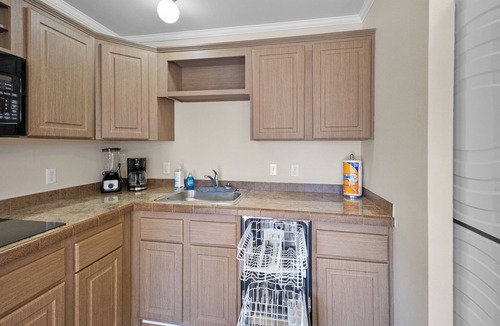 Sunshine Apartment | Furnished Executive Suite Near DOW + Shintech - C1