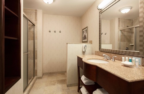 Sterling Hotel | Hampton Inn & Suites Washington-Dulles International Airport