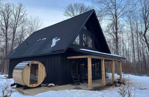 Jenkins Cabin | Hidden Gem. Cabin in woods. Sauna. Wood Fireplace. Pets ok.