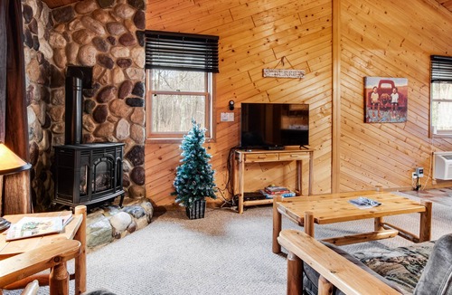 New Lisbon Cabin | Inviting dog-friendly cabin with hammock, fireplace, shared fishing pond, & A/C