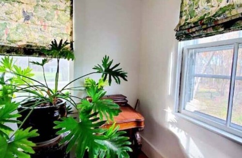 Jamestown House | Jamestown Retreat 3/2 home