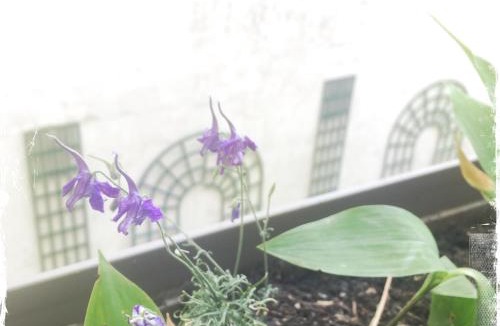 Prince–Marmottan House | L'académie de Clémence, Guest House Paris-Roland-Garros