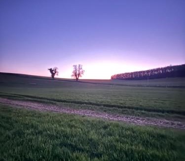 Charleval Other | La roulotte de bonneval