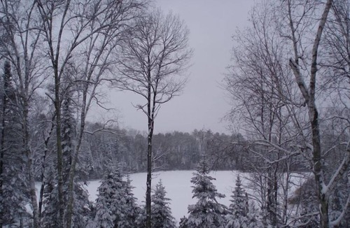 Hayward Cabin | Lakefront Cabin on the Chippewa Flowage Near Hayward, Wisconsin