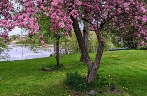 Hayward House | Lakefront Hayward Retreat, 3BR/2BA, Sleeps 9, Private Dock, Walk to Downtown