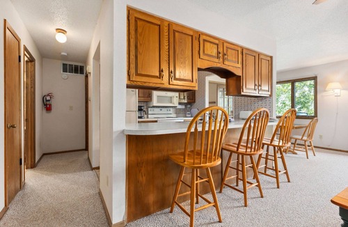 Breezy Point Condo | Lakeview 1BR Condo with Fireplace & Balcony