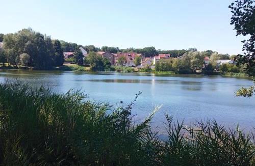 Velizy-Villacoublay House | Le cocon d'Aurélie