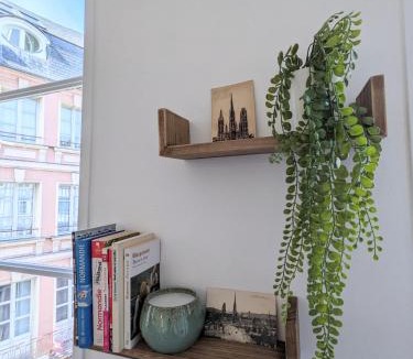Rouen City Centre Apartment | Le Perchoir - Studio vue imprenable - Hypercentre