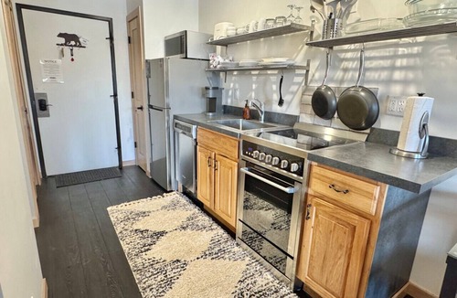 Lutsen Apartment | Lutsen Ski-In/Ski-Out | Lake View | Pet-Friendly