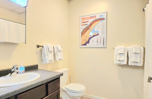 Lake Linden Apartment | *Luxe living in Lake Linden with 15 foot ceiling! Pet Friendly!*