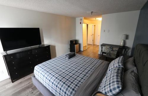 Beverly Hills Apartment | Nice Queed bed apt in Beverly Hills neighborhood