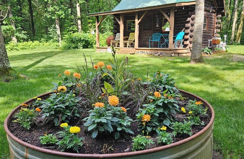 Park Rapids Cabin | Nine acres, no neighbors. Relaxing Cabin near Park Rapids on Shipman Lake.