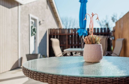 Paso Robles Apartment | Oaks & Grapes Getaway