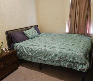 Minneapolis Apartment | Plantlife LLC Lodge U room