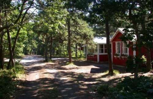 South Chatham Cottage | Pleasant Forest Shores #1 S. Chatham: Classic Swedish 'Stuga' style near beach