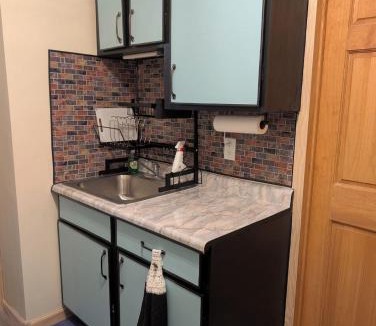 Savage House | Private Lake Suite Basement Apt- Cabin Feel - Near Twin Cities - Dog-Friendly