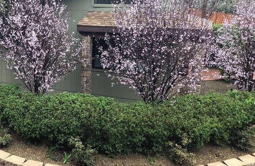 West Sedona Cottage | Private Stand Alone Studio Casita Near Oak Creek and Crescent Moon Ranch Park