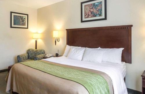 Burnside Hotel | Quality Inn Donaldsonville - Gonzales