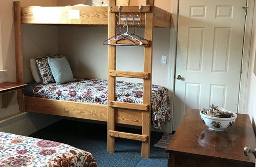 Temperanceville Cabin | QUIET, pet-friendly nature retreat with HOT TUB & without getting BIT!