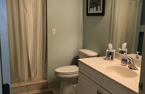 Temperanceville Cabin | QUIET, pet-friendly nature retreat with HOT TUB & without getting BIT!