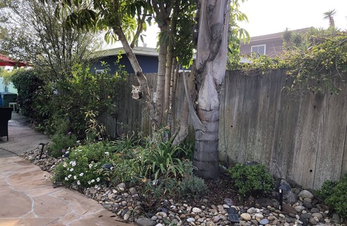 Pierpont Bay House | REMODELED COTTAGE -BEST BACKYARD AREA IN PIERPONT!