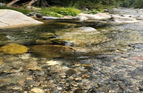 Cedar Ridge Cabin | River Front Cabin on the middle fork of the Yuba River