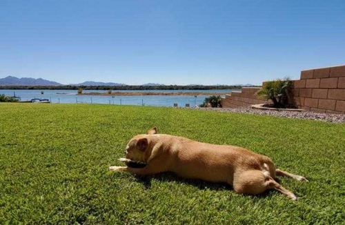 Blythe House | River front wit private dock