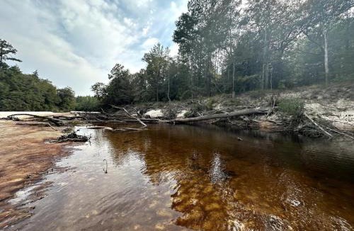 Citronelle Other | Riverside Retreat: Camp Under Stars & Water's Edge