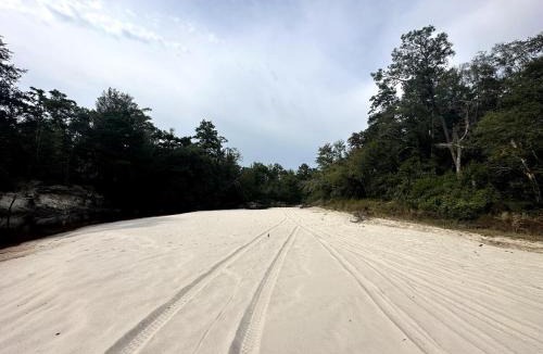 Citronelle Other | Riverside Retreat: Camp Under Stars & Water's Edge