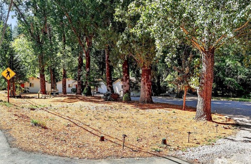 Cobb Cabin | Secluded Dog Friendly Cabin in Wine Country Cobb California