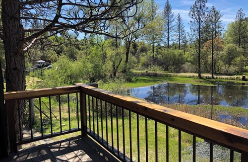 Rough and Ready Cottage | Shangrila with view of wildlife pond above artist's studio in Rough and Ready