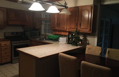Mobile House | Spacious Beautiful House near Botanical Garden