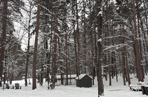 Arbor Vitae House | Spacious King Retreat