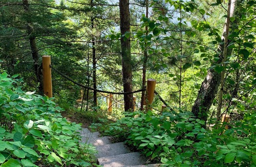 Longville Cabin | Special Forth of July week! The cabin is available for 6-8 guests in 3 bedrooms.