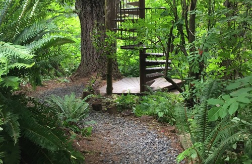Bodega Bay Cabin | Spectacular Treehouse on the California Sonoma Coast