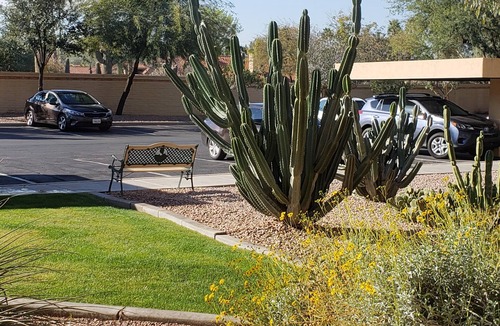 Scottsdale Ranch Condo | Spring Training, Tennis, Golf, or Relaxation, this is your happy place.