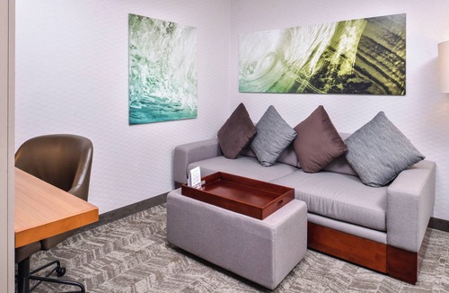 Temecula Hotel | Springhill Suites by Marriott Temecula Wine Country