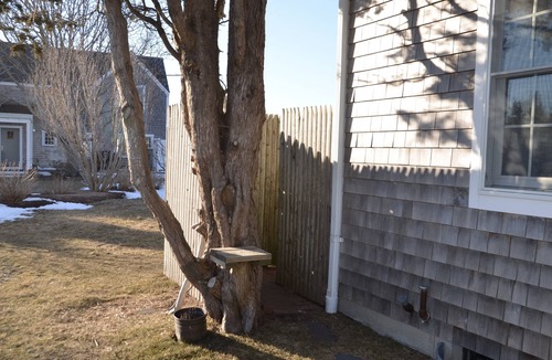 Brewster House | Steps to Paine's Creek-The Perfect Vacation Home