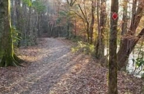 Talisheek RV Rental | Tentrr State Park Site - Louisiana Bogue Chitto State Park - Gorge Trail N - Sin