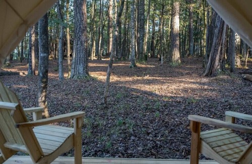 McComb RV Rental | Tentrr State Park Site - Mississippi Percy Quin State Park - Southside Lakeview