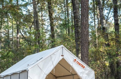 Morton RV Rental | Tentrr State Park Site - Mississippi Roosevelt State Park - Tall Trees A - Sing