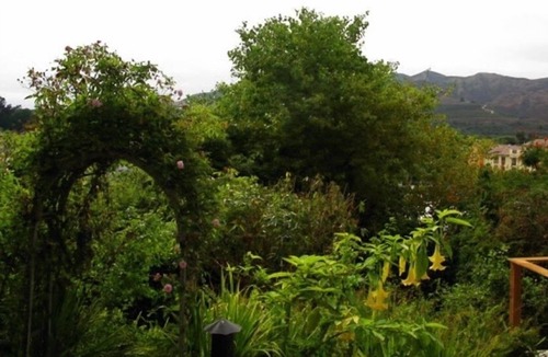 Ventura Cottage | The Hummingbird Cottage, Treehouse & Garden - Ocean & Mountain Views
