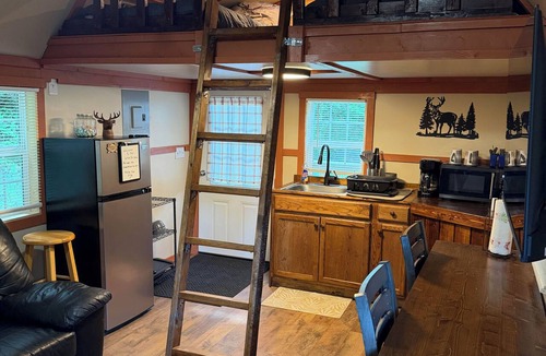 Freeman Cabin | The White Tail