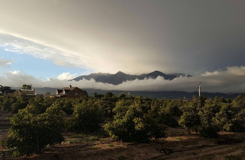 Fillmore Cottage | Treehouse and farm stay in Fillmore