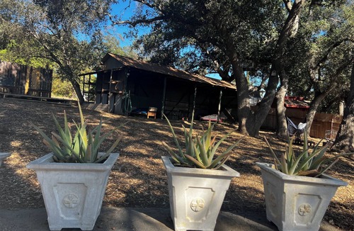 Meiners Oaks House | tucked away with room to play