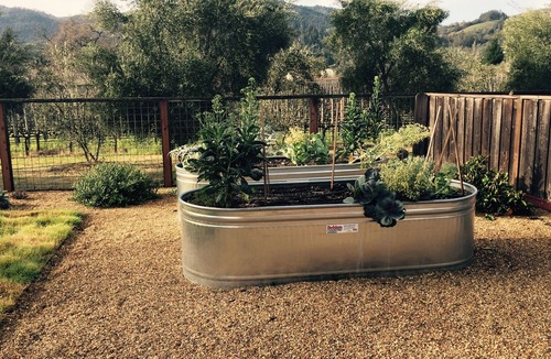 St. Helena House | Vineyard View Walk to Downtown SH