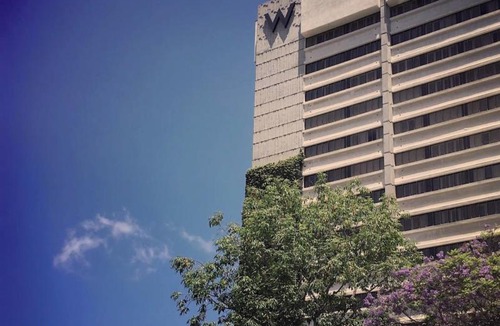 Westwood Hotel | W Los Angeles - West Beverly Hills